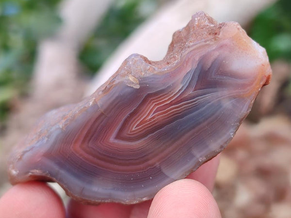 Polished On One Side Red Shashe River Agate Nodules x 35 From Shashe River, Zimbabwe