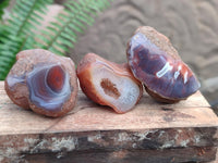 Polished On One Side Red Shashe River Agate Nodules x 35 From Shashe River, Zimbabwe
