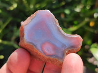 Polished On One Side Red Shashe River Agate Nodules x 35 From Shashe River, Zimbabwe