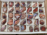 Polished On One Side Red Shashe River Agate Nodules x 35 From Shashe River, Zimbabwe