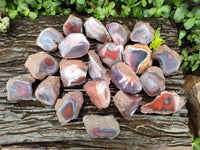 Polished On One Side Red Shashe River Agate Nodules x 35 From Shashe River, Zimbabwe
