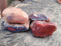 Polished On One Side Red Shashe River Agate Nodules x 35 From Shashe River, Zimbabwe