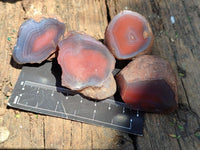 Polished On One Side Red Shashe River Agate Nodules x 35 From Shashe River, Zimbabwe