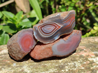 Polished On One Side Red Shashe River Agate Nodules x 35 From Shashe River, Zimbabwe