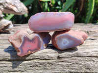 Polished On One Side Red Shashe River Agate Nodules x 35 From Shashe River, Zimbabwe
