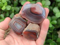 Polished On One Side Red Shashe River Agate Nodules x 35 From Shashe River, Zimbabwe