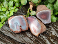 Polished On One Side Red Shashe River Agate Nodules x 35 From Shashe River, Zimbabwe