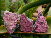 Natural Salrose Cobaltion Dolomite Specimens x 12 From Kakanda, Congo