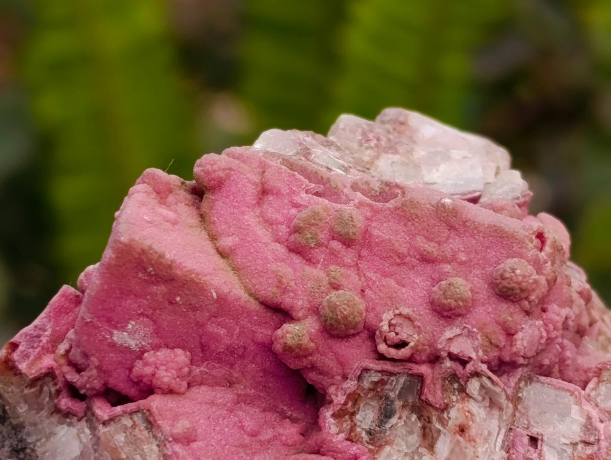 Natural Salrose Cobaltion Dolomite Specimens x 12 From Kakanda, Congo