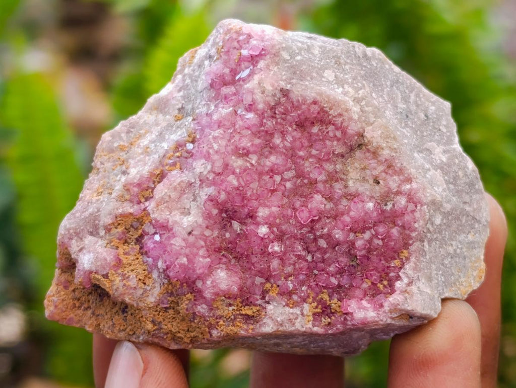 Natural Salrose Cobaltion Dolomite Specimens x 12 From Kakanda, Congo