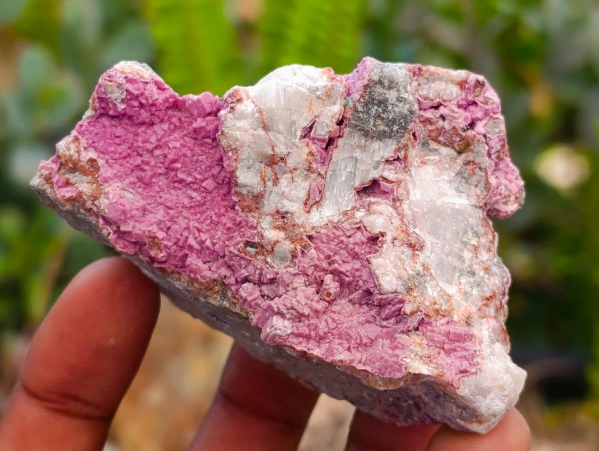 Natural Salrose Cobaltion Dolomite Specimens x 12 From Kakanda, Congo