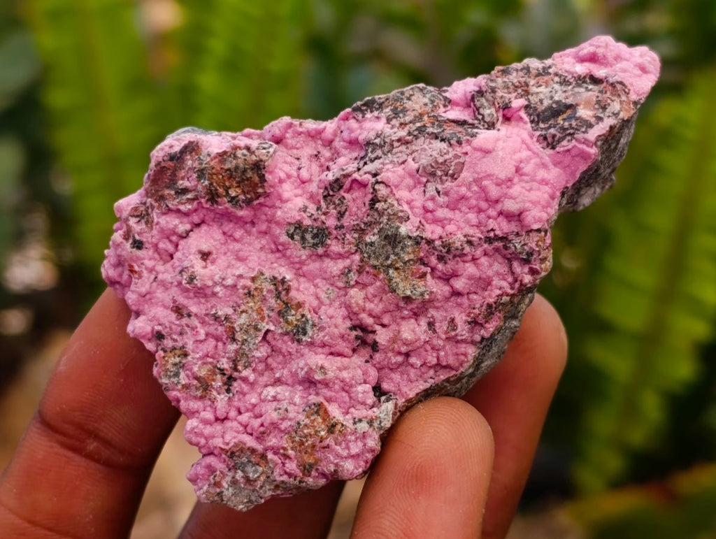 Natural Salrose Cobaltion Dolomite Specimens x 12 From Kakanda, Congo