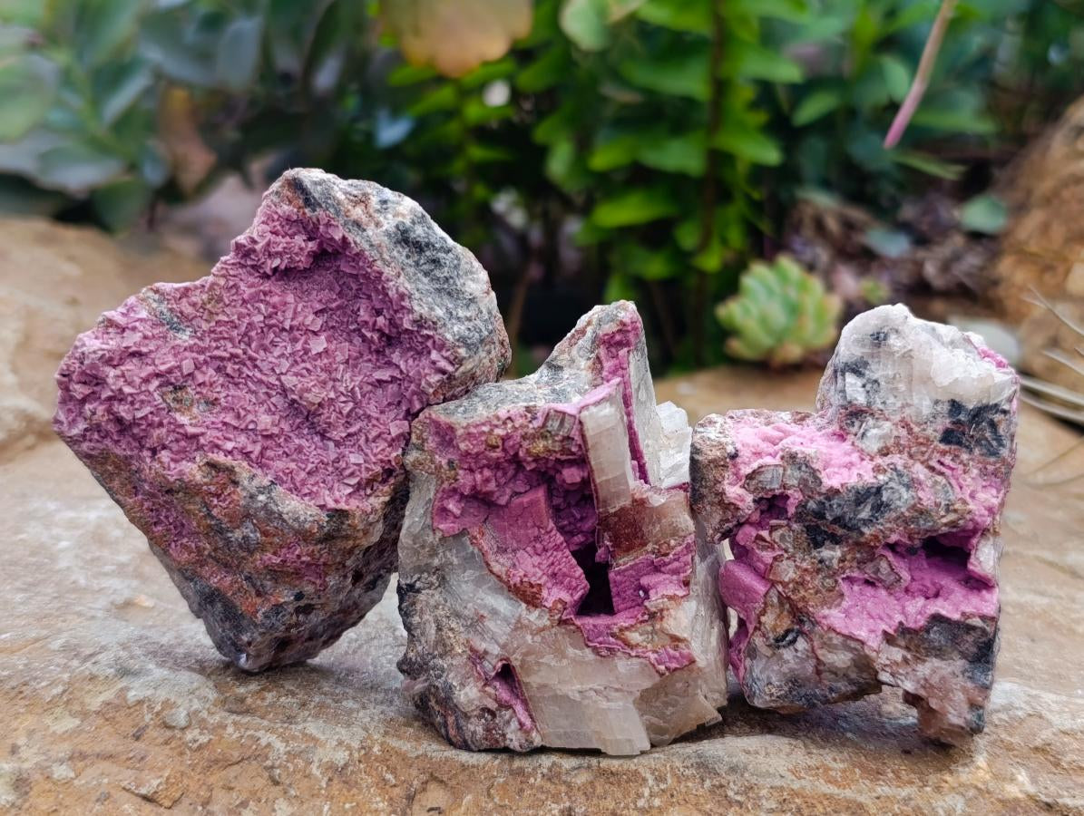 Natural Salrose Cobaltion Dolomite Specimens x 12 From Kakanda, Congo