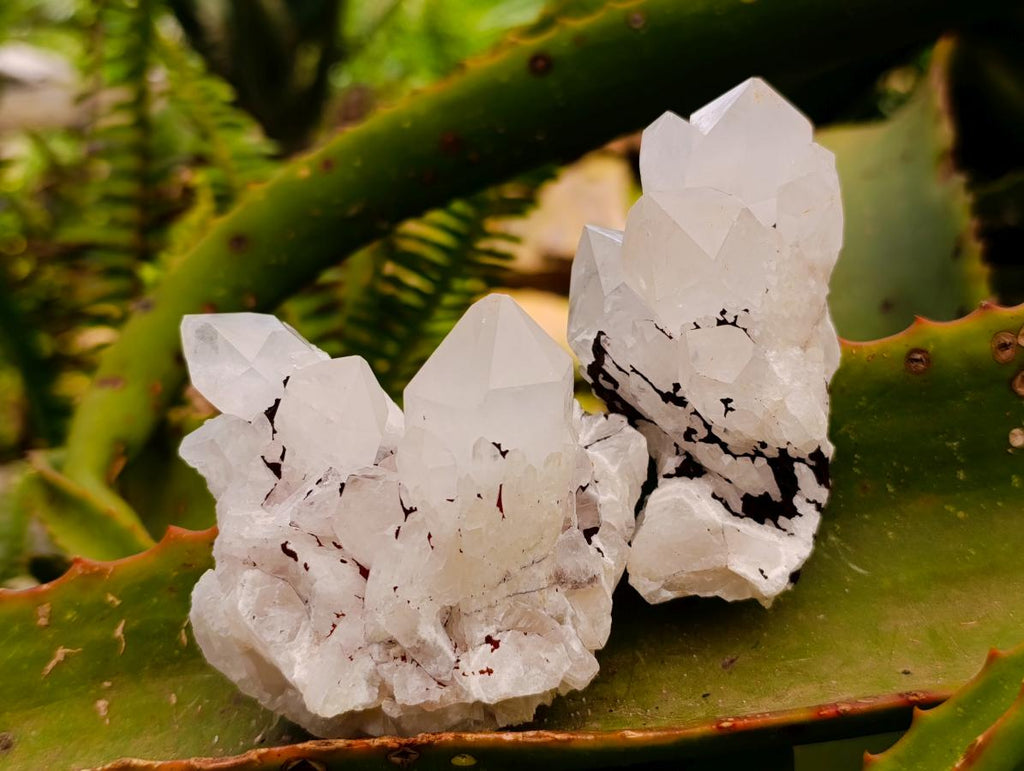 Natural Clear Cascading Quartz Crystal Clusters x 6 From Madagascar