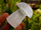 Polished Clear Quartz Mushrooms x 12 From Madagascar - Toprock Gemstones and Minerals 