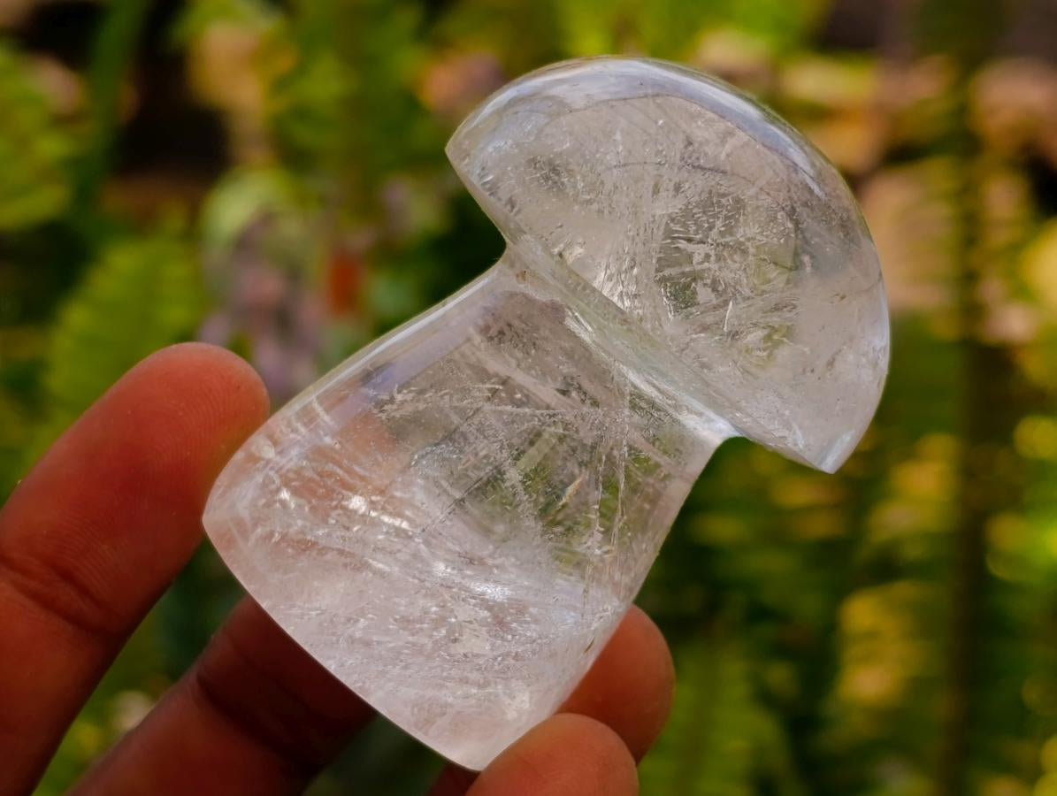Polished Clear Quartz Mushrooms x 12 From Madagascar