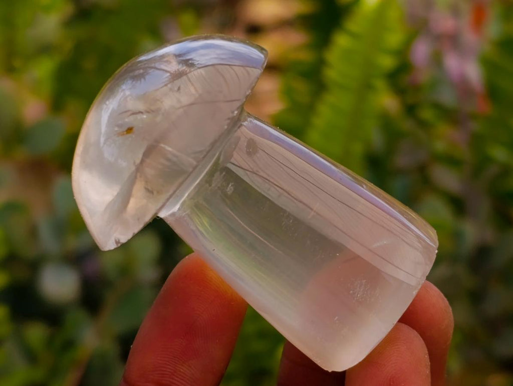 Polished Clear Quartz Mushrooms x 12 From Madagascar - Toprock Gemstones and Minerals 
