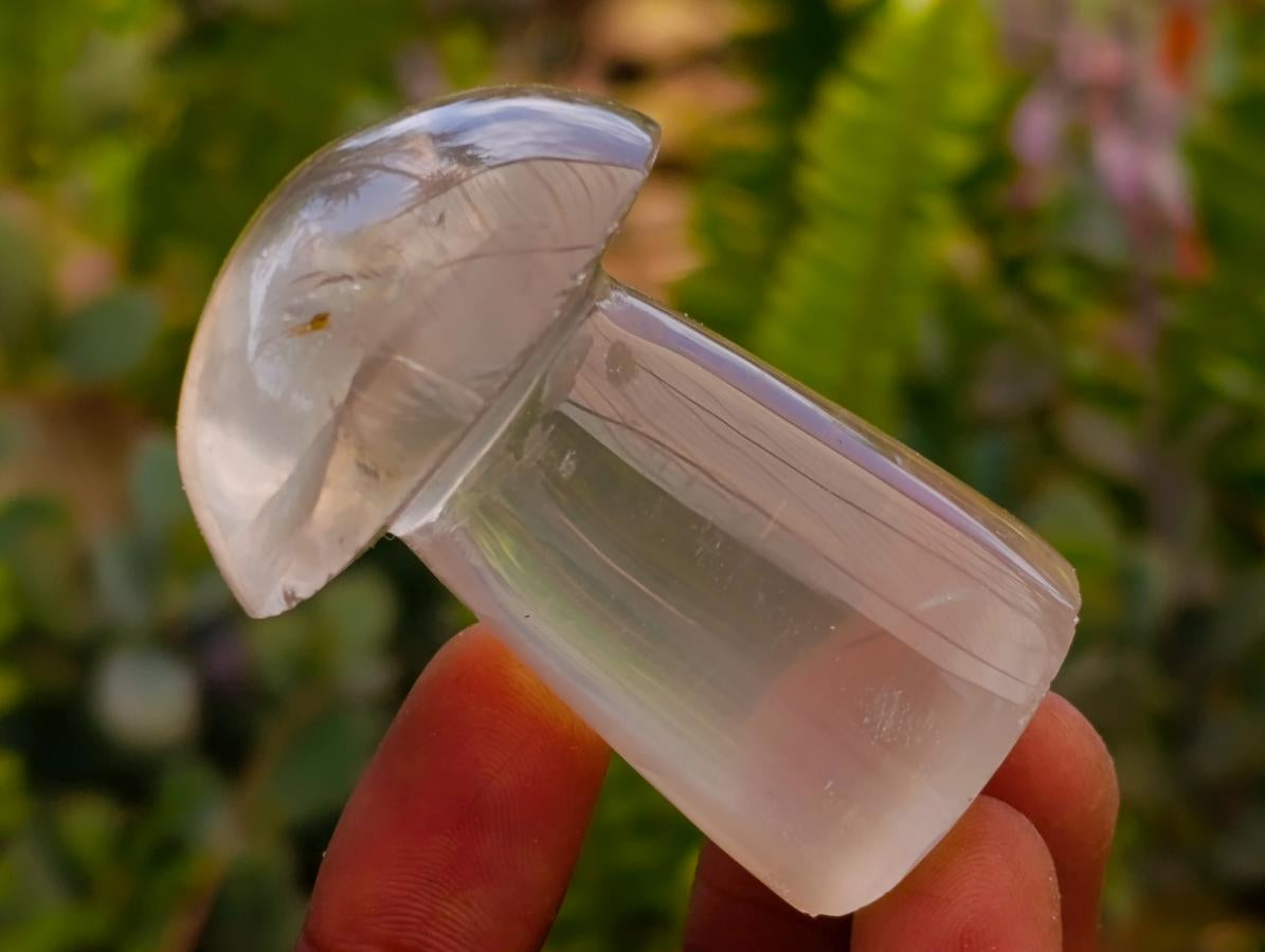 Polished Clear Quartz Mushrooms x 12 From Madagascar