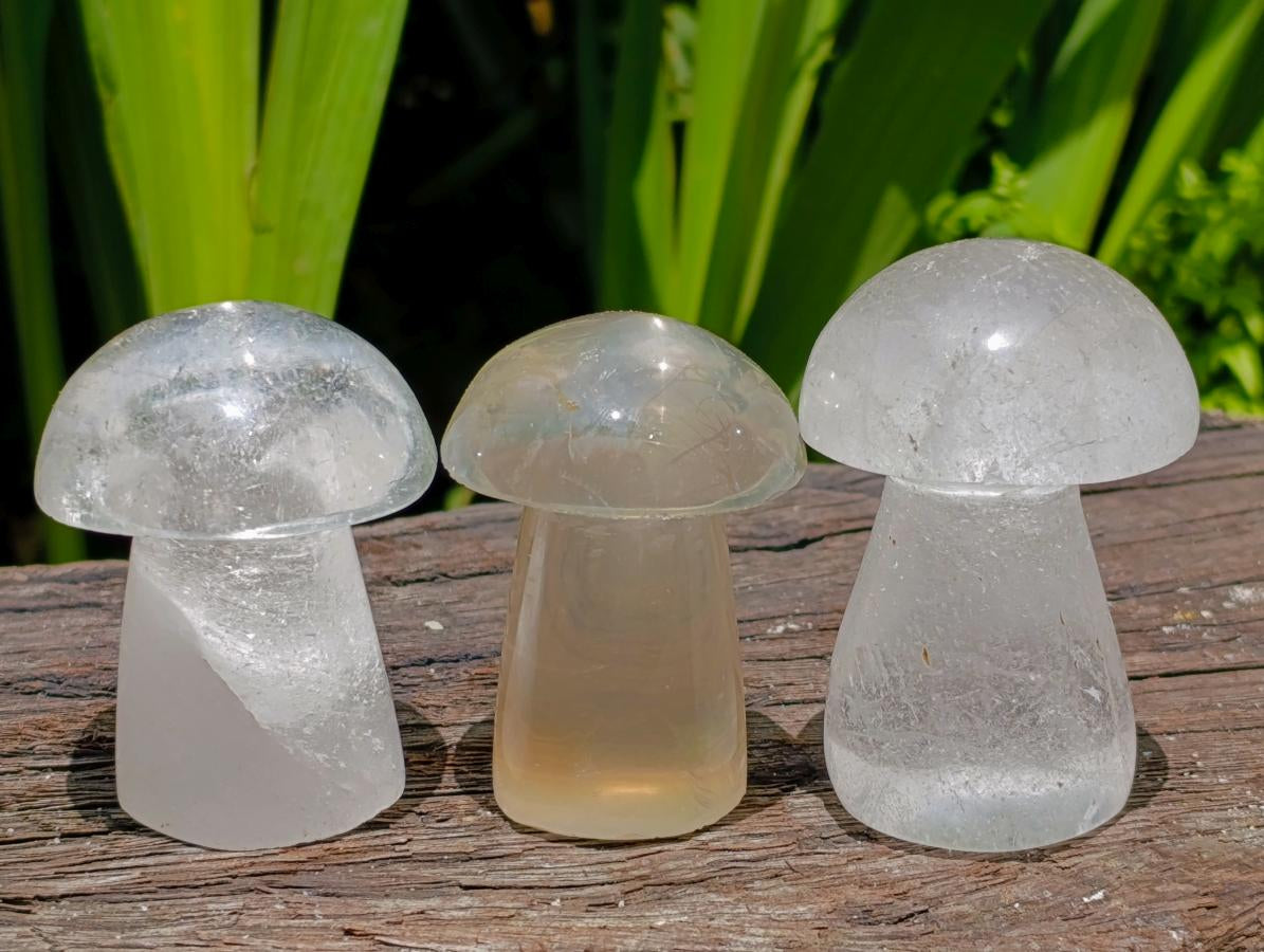 Polished Clear Quartz Mushrooms x 12 From Madagascar
