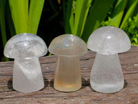 Polished Clear Quartz Mushrooms x 12 From Madagascar
