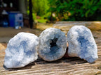 Natural Blue Celestite Specimens x 6 From Sakoany, Madagascar