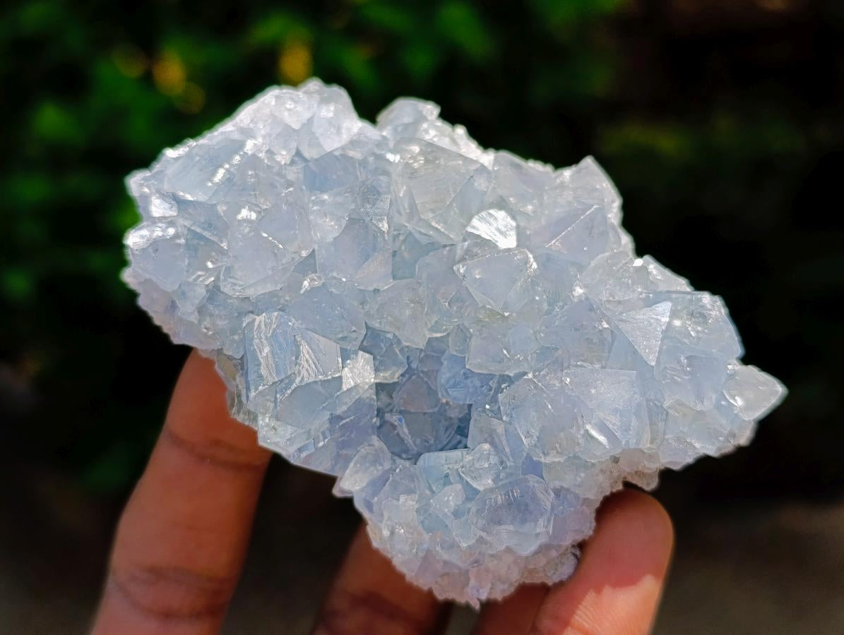 Natural Blue Celestite Specimens x 6 From Sakoany, Madagascar