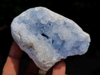 Natural Blue Celestite Specimens x 6 From Sakoany, Madagascar