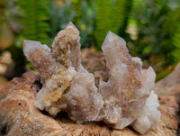 Natural Limonite Fairy Spirit Quartz Crystals x 35 From Boekenhouthoek, South Africa
