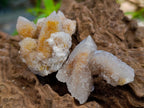 Natural Limonite Fairy Spirit Quartz Crystals x 35 From Boekenhouthoek, South Africa