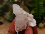 Natural Limonite Fairy Spirit Quartz Crystals x 35 From Boekenhouthoek, South Africa
