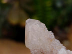 Natural Limonite Fairy Spirit Quartz Crystals x 35 From Boekenhouthoek, South Africa