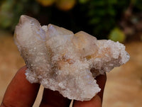 Natural Limonite Fairy Spirit Quartz Crystals x 35 From Boekenhouthoek, South Africa
