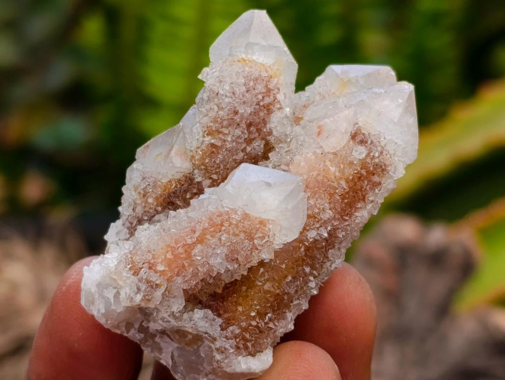 Natural Limonite Fairy Spirit Quartz Crystals x 35 From Boekenhouthoek, South Africa