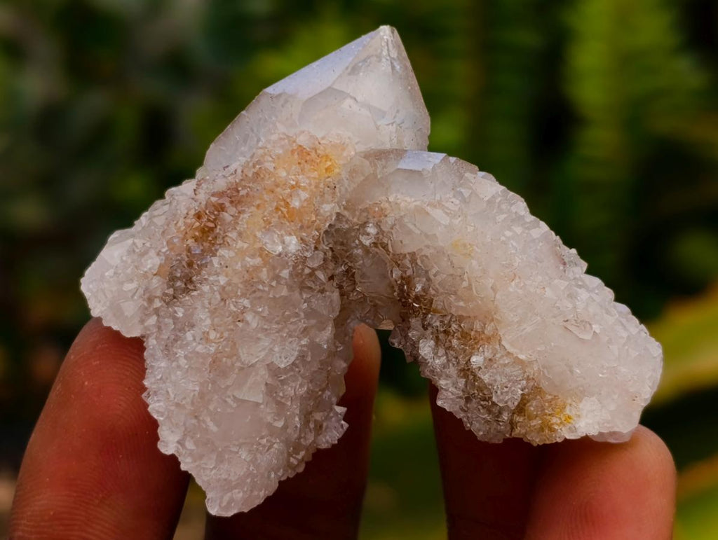 Natural Limonite Fairy Spirit Quartz Crystals x 35 From Boekenhouthoek, South Africa