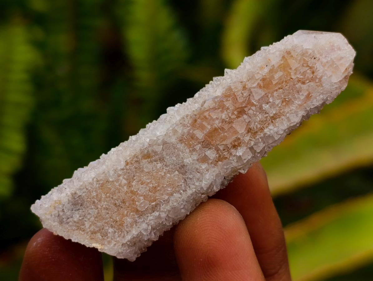 Natural Limonite Fairy Spirit Quartz Crystals x 35 From Boekenhouthoek, South Africa