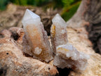 Natural Limonite Fairy Spirit Quartz Crystals x 35 From Boekenhouthoek, South Africa