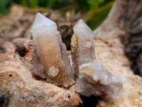 Natural Limonite Fairy Spirit Quartz Crystals x 35 From Boekenhouthoek, South Africa