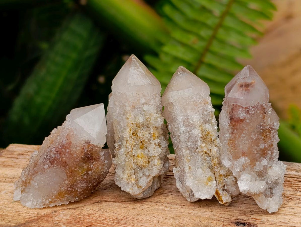 Natural Limonite Fairy Spirit Quartz Crystals x 35 From Boekenhouthoek, South Africa