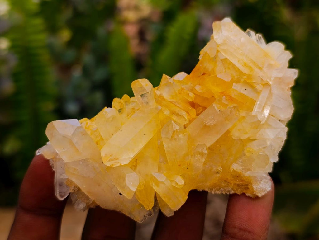 Natural Clear Cascading Quartz Crystal Clusters x 24 From Madagascar