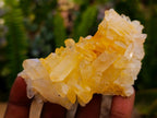 Natural Clear Cascading Quartz Crystal Clusters x 24 From Madagascar