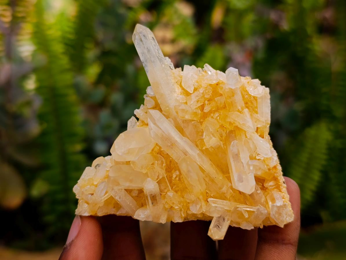 Natural Clear Cascading Quartz Crystal Clusters x 24 From Madagascar