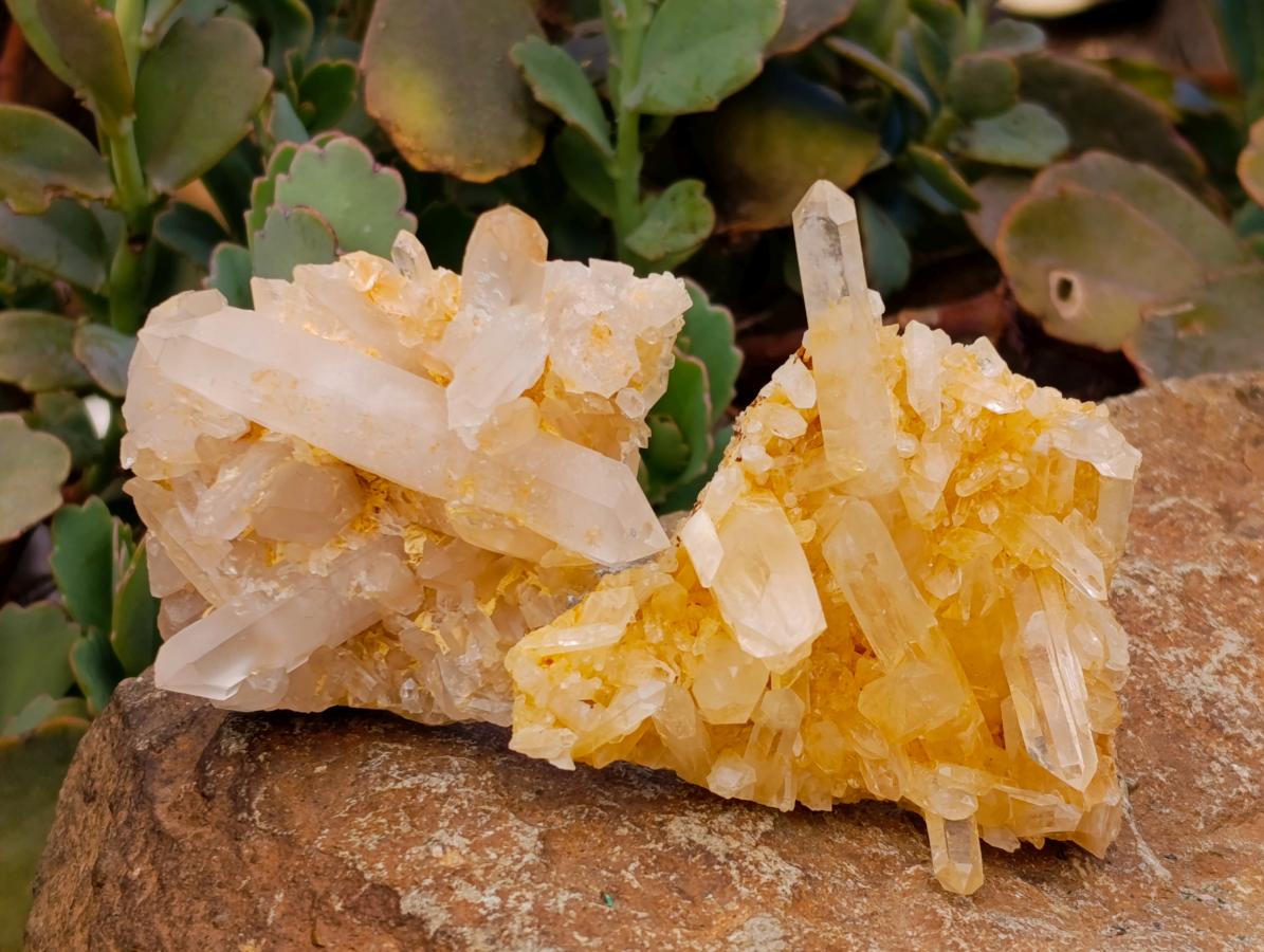 Natural Clear Cascading Quartz Crystal Clusters x 24 From Madagascar