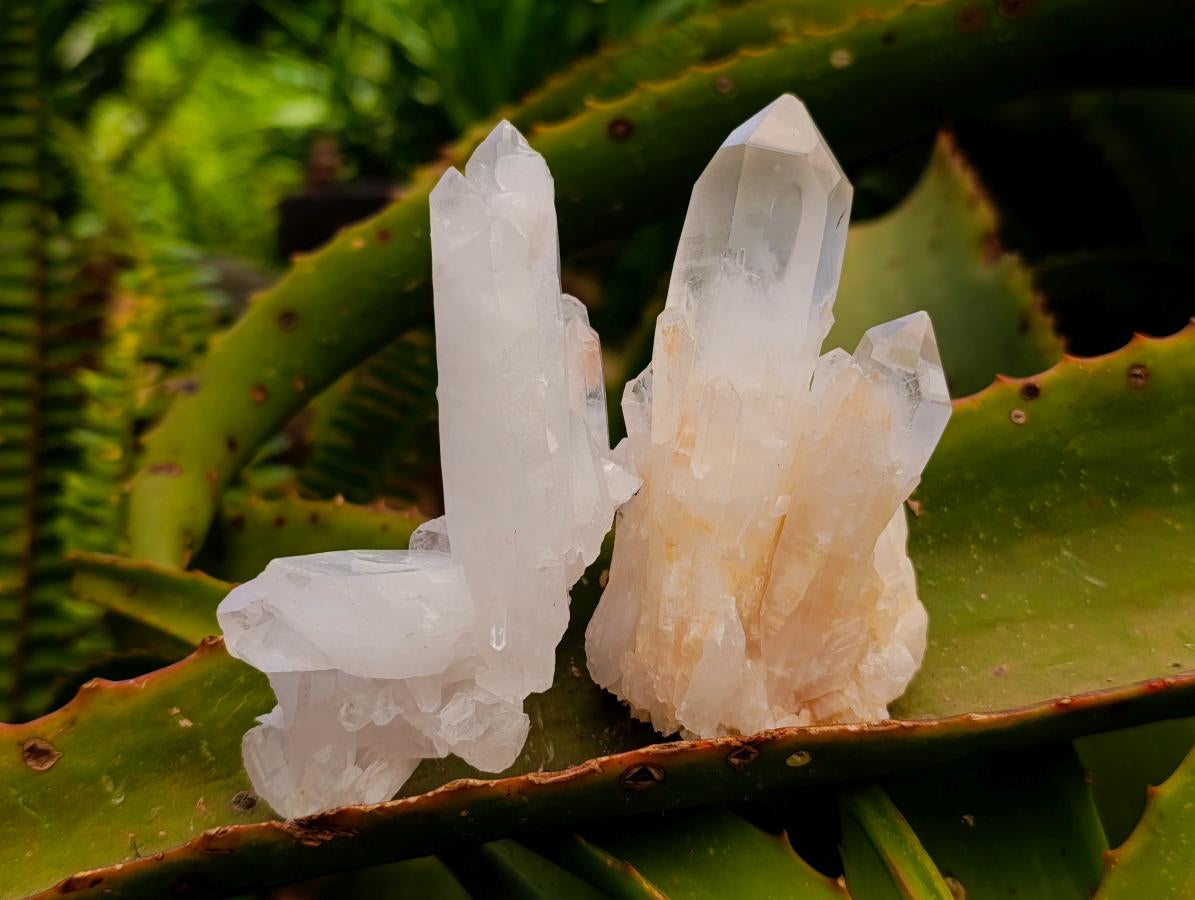 Natural Clear Cascading Quartz Crystal Clusters x 24 From Madagascar