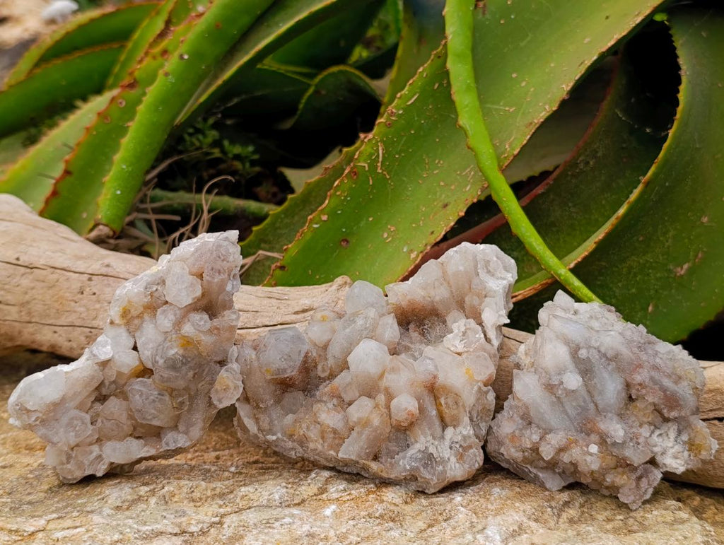 Natural White Quartz Spirit Clusters x 3 From Boekenhouthoek, South Africa