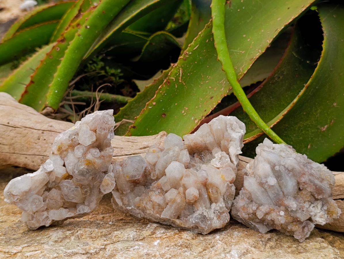 Natural White Quartz Spirit Clusters x 3 From Boekenhouthoek, South Africa