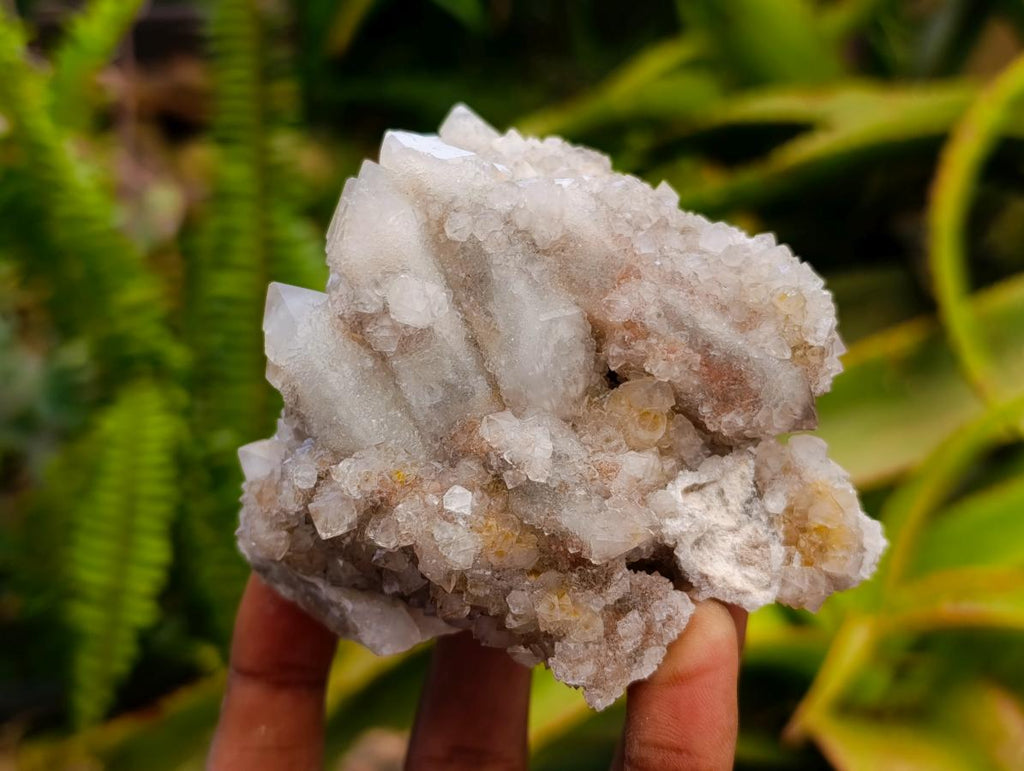 Natural White Quartz Spirit Clusters x 3 From Boekenhouthoek, South Africa