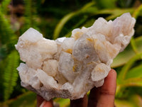 Natural White Quartz Spirit Clusters x 3 From Boekenhouthoek, South Africa