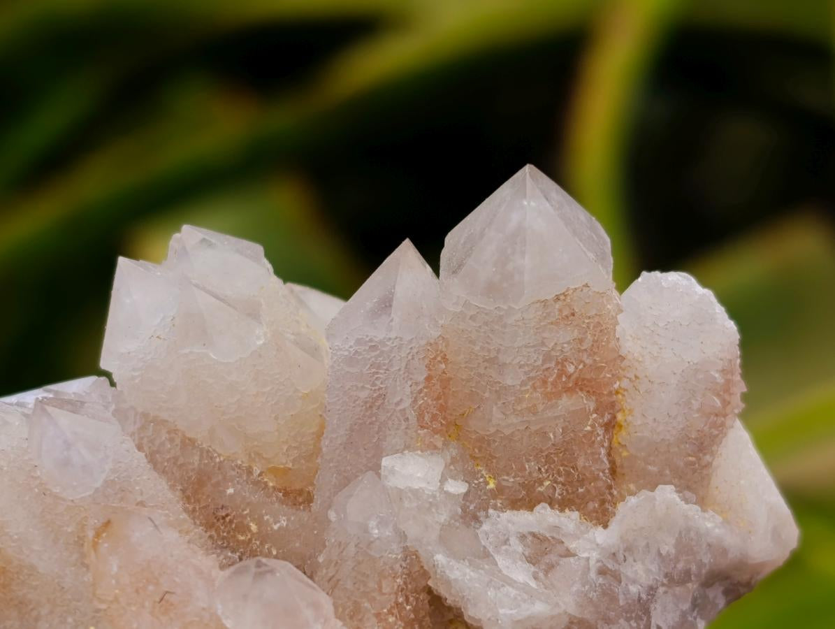 Natural White Quartz Spirit Clusters x 3 From Boekenhouthoek, South Africa