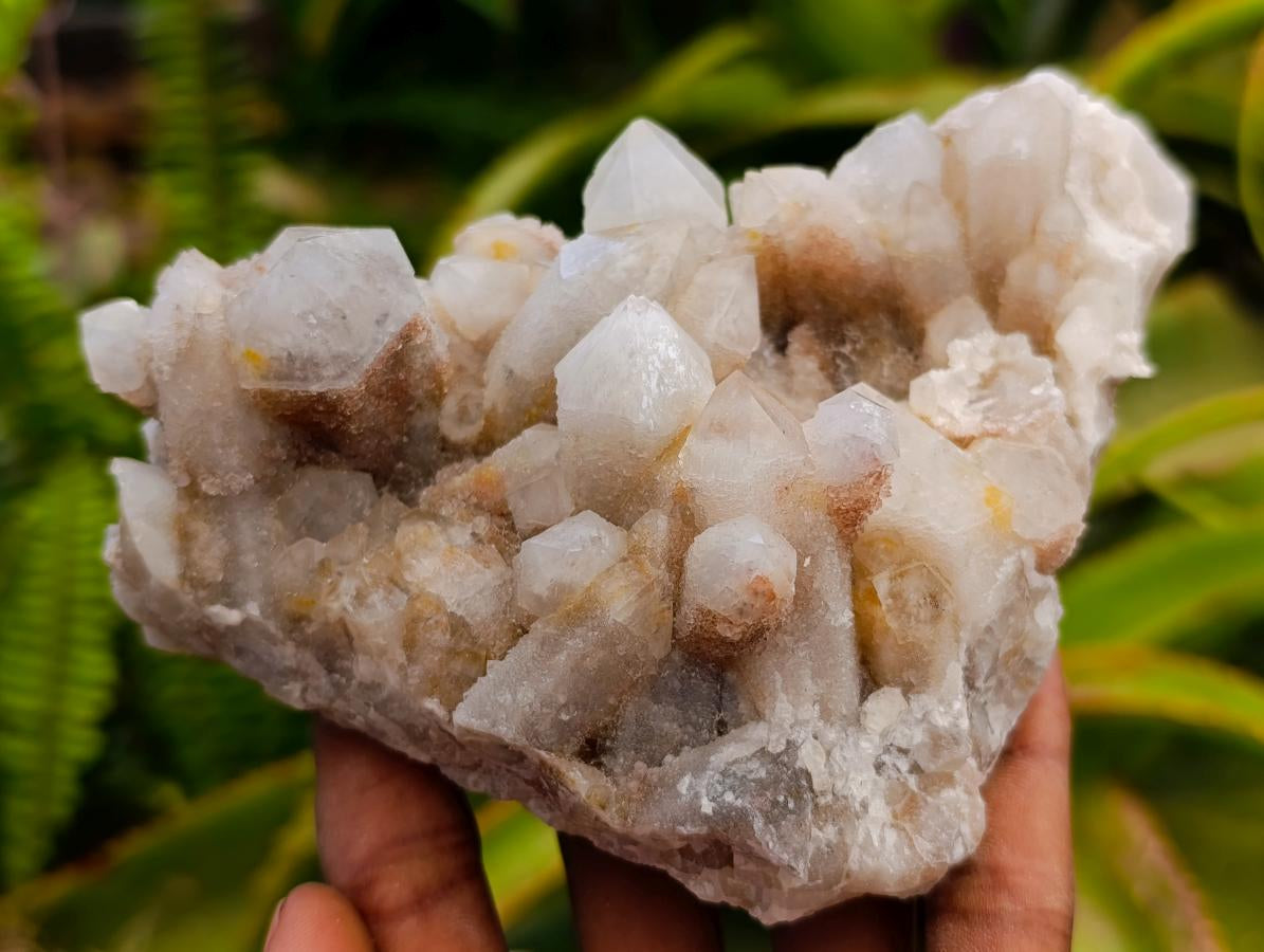 Natural White Quartz Spirit Clusters x 3 From Boekenhouthoek, South Africa