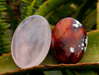 Polished Mixed Selected Multi Mineral Gemstone Galets x 12 From Madagascar